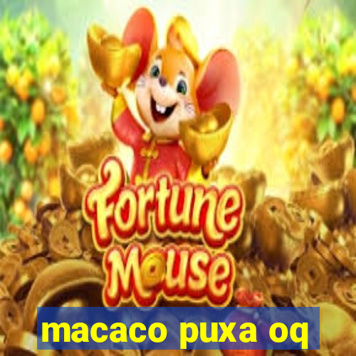 macaco puxa oq